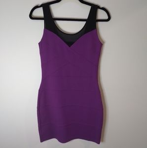 NWT Express slim fitting cocktail mini dress